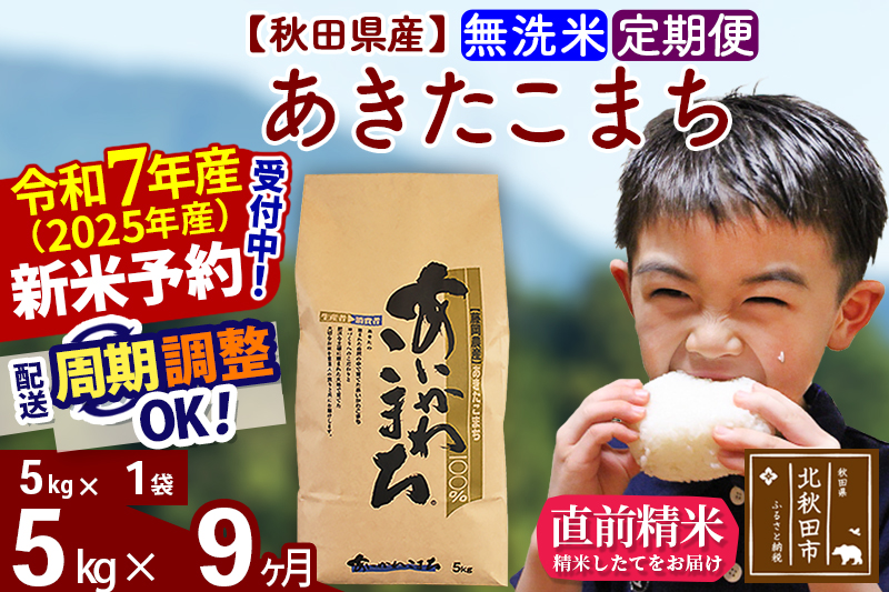 ※令和7年産 新米※《定期便9ヶ月》秋田県産 あきたこまち 5kg【無洗米】(5kg小分け袋) 2025年産 お届け時期選べる お届け周期調整可能 隔月に調整OK お米 藤岡農産