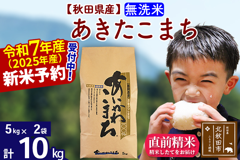 ※令和7年産 新米※秋田県産 あきたこまち 10kg【無洗米】(5kg小分け袋)【1回のみお届け】2025年産 お届け時期選べる お米 藤岡農産