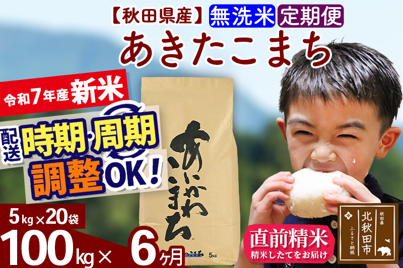 ※令和7年産 新米※《定期便6ヶ月》秋田県産 あきたこまち 100kg【無洗米】(5kg小分け袋) 2025年産 お届け時期選べる お届け周期調整可能 隔月に調整OK お米 藤岡農産