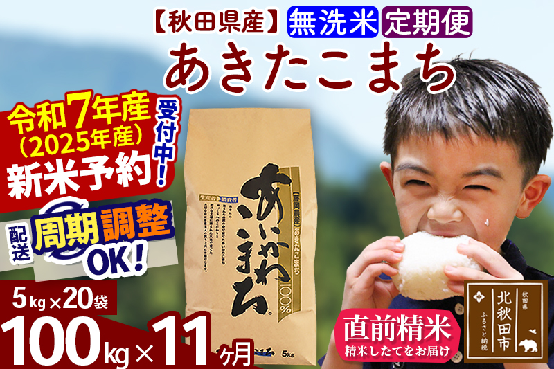 ※令和7年産 新米※《定期便11ヶ月》秋田県産 あきたこまち 100kg【無洗米】(5kg小分け袋) 2025年産 お届け時期選べる お届け周期調整可能 隔月に調整OK お米 藤岡農産