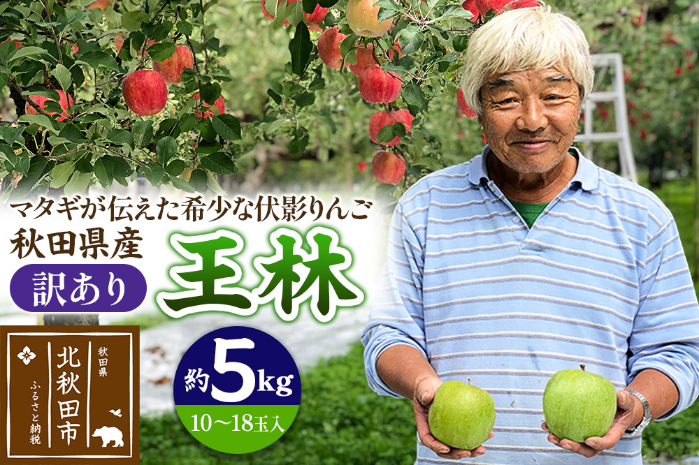 りんご 王林（訳あり）約5kg (10～18玉入) 伊東さんの「伏影りんご」 令和7年産 秋田県産 個数限定 リンゴ マタギのりんご