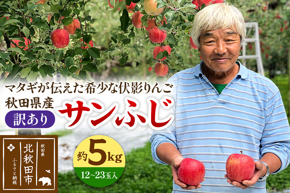 りんご 秋田県産 サンふじ（訳あり） 「伏影りんご」 約5kg (12～23玉入)