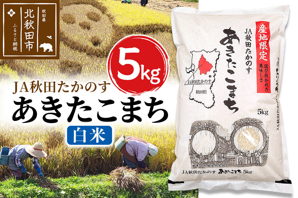 あきたこまち 白米5kg(5kg×1袋)  5キロ お米 令和7年産 秋田たかのす農業協同組合
