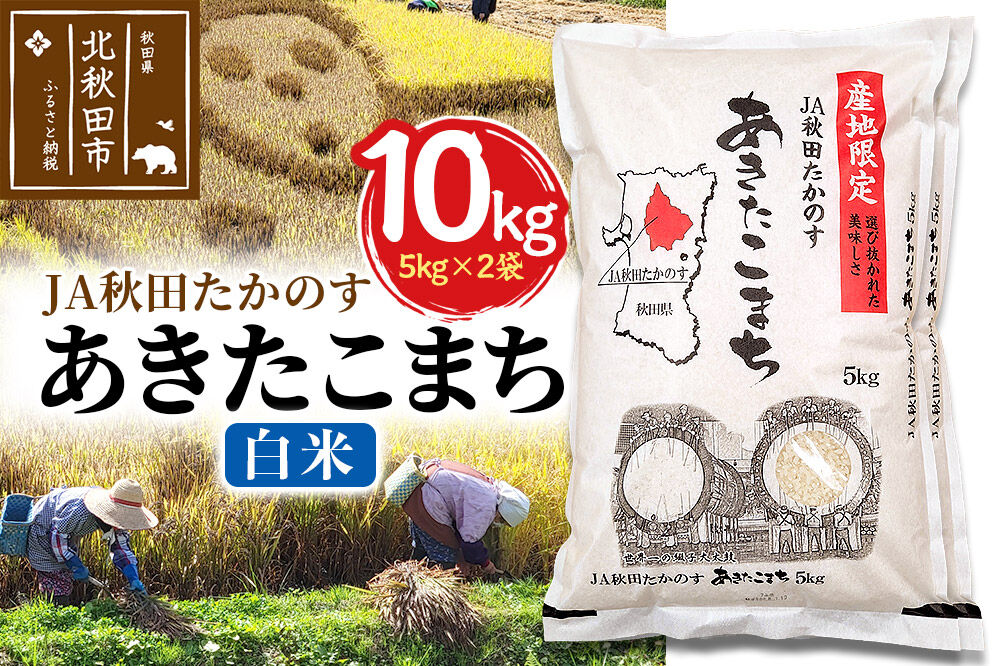 JA秋田たかのす あきたこまち 白米10kg（5kg×2袋）10キロ お米 令和7年産 秋田たかのす農業協同組合