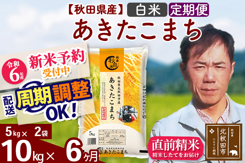 豊富な特価令和2年　秋田県産　新米あきたこまち　10kg×2袋 1等米 米/穀物
