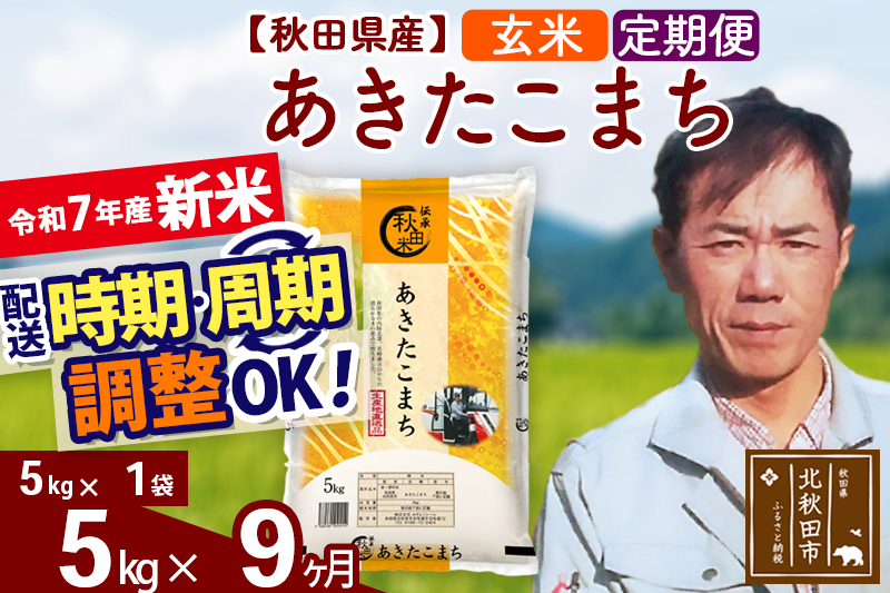※令和7年産 新米※《定期便9ヶ月》秋田県産 あきたこまち 5kg【玄米】(5kg小分け袋) 2025年産 お届け時期選べる お届け周期調整可能 隔月に調整OK お米 みそらファーム