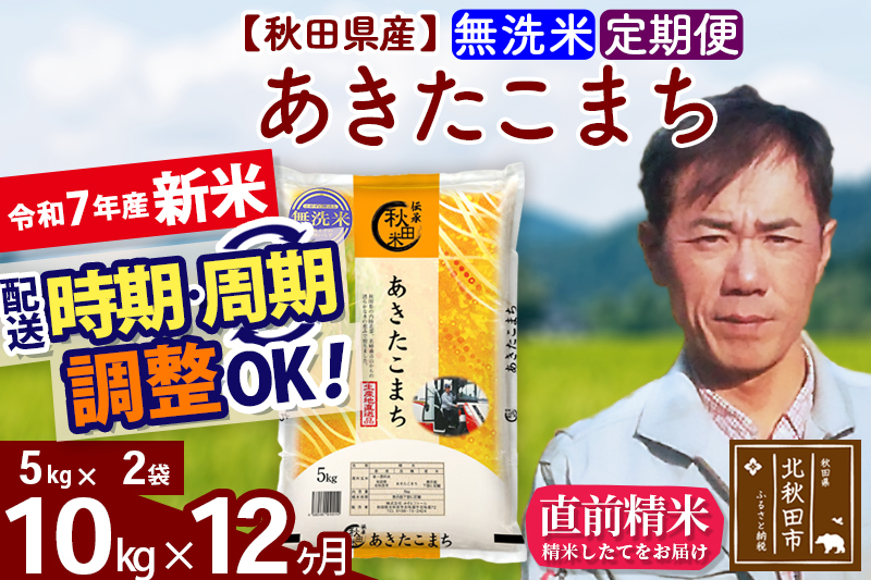 ※令和7年産 新米※《定期便12ヶ月》秋田県産 あきたこまち 10kg【無洗米】(5kg小分け袋)  2025年産 お届け時期選べる お届け周期調整可能 隔月に調整OK お米 みそらファーム