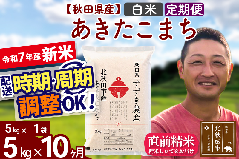 ※令和7年産 新米※《定期便10ヶ月》秋田県産 あきたこまち 5kg【白米】(5kg小分け袋) 2025年産 お届け時期選べる お届け周期調整可能 隔月に調整OK お米 すずき農産