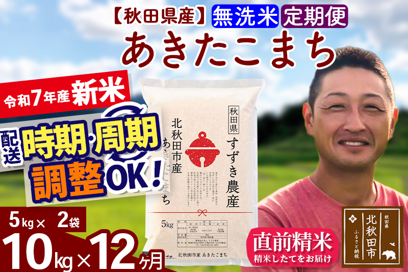 ※令和7年産 新米※《定期便12ヶ月》秋田県産 あきたこまち 10kg【無洗米】(5kg小分け袋) 2025年産 お届け時期選べる お届け周期調整可能 隔月に調整OK お米 すずき農産