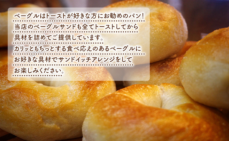 定期便 3回 ベーグル詰め合わせ 12個 パン 国産 冷凍 ベーグル プレーン セット 詰合せ 詰め合わせ 3ヶ月 にかほ市 秋田 秋田県