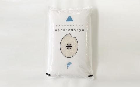 《謝恩企画》《数量限定》令和3年産  特別栽培米 コシヒカリ10kg(5kg×2袋・精米)