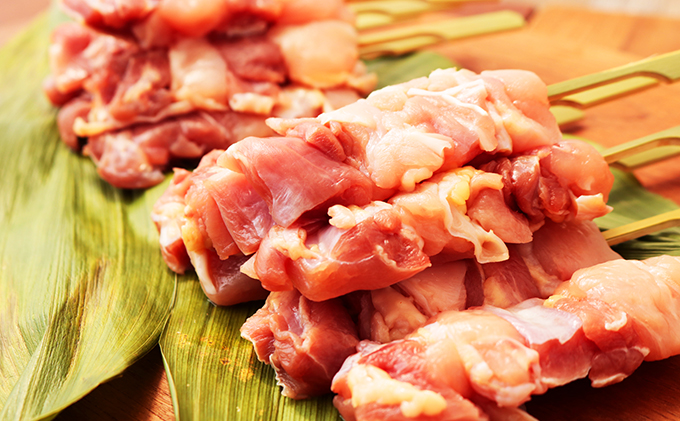 秋田県産比内地鶏肉 焼き鳥の定期便（30本×8ヵ月）（焼鳥 8ヶ月 もも肉 むね肉）