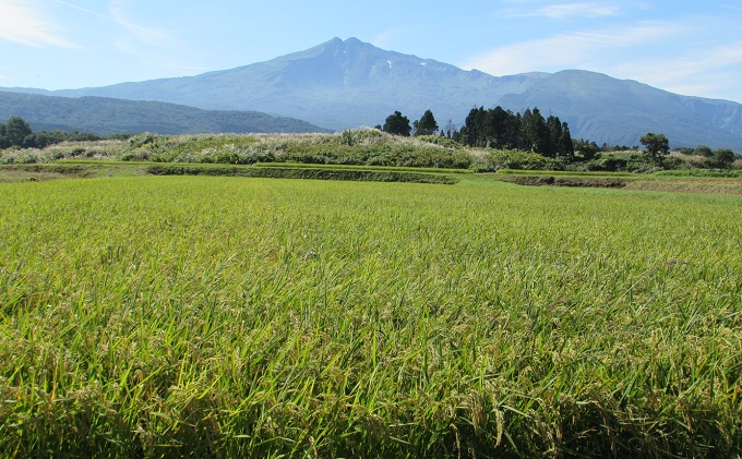 米 お米 鳥海山の恵み 農家直送！ あきたこまち 5kg(玄米) サブスク