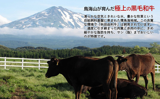 《定期便》6ヶ月連続 秋田由利牛 バラ切り落とし 5kg（1kg×5パック）