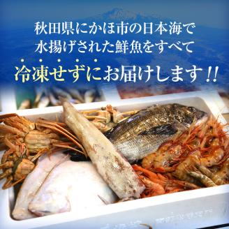 開けたらすぐ食べられる日本海の鮮魚詰合せ（２～３人前）(魚介 下処理済み 詰め合わせ セット)