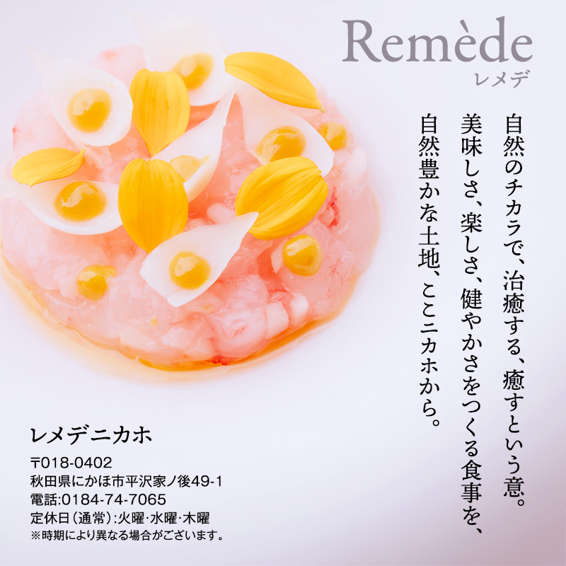 レメデニカホ  ディナーお食事券（1名様分）にかほガストロノミー