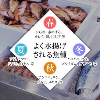 開けたらすぐ食べられる日本海の鮮魚詰合せ（２～３人前）(魚介 下処理済み 詰め合わせ セット)