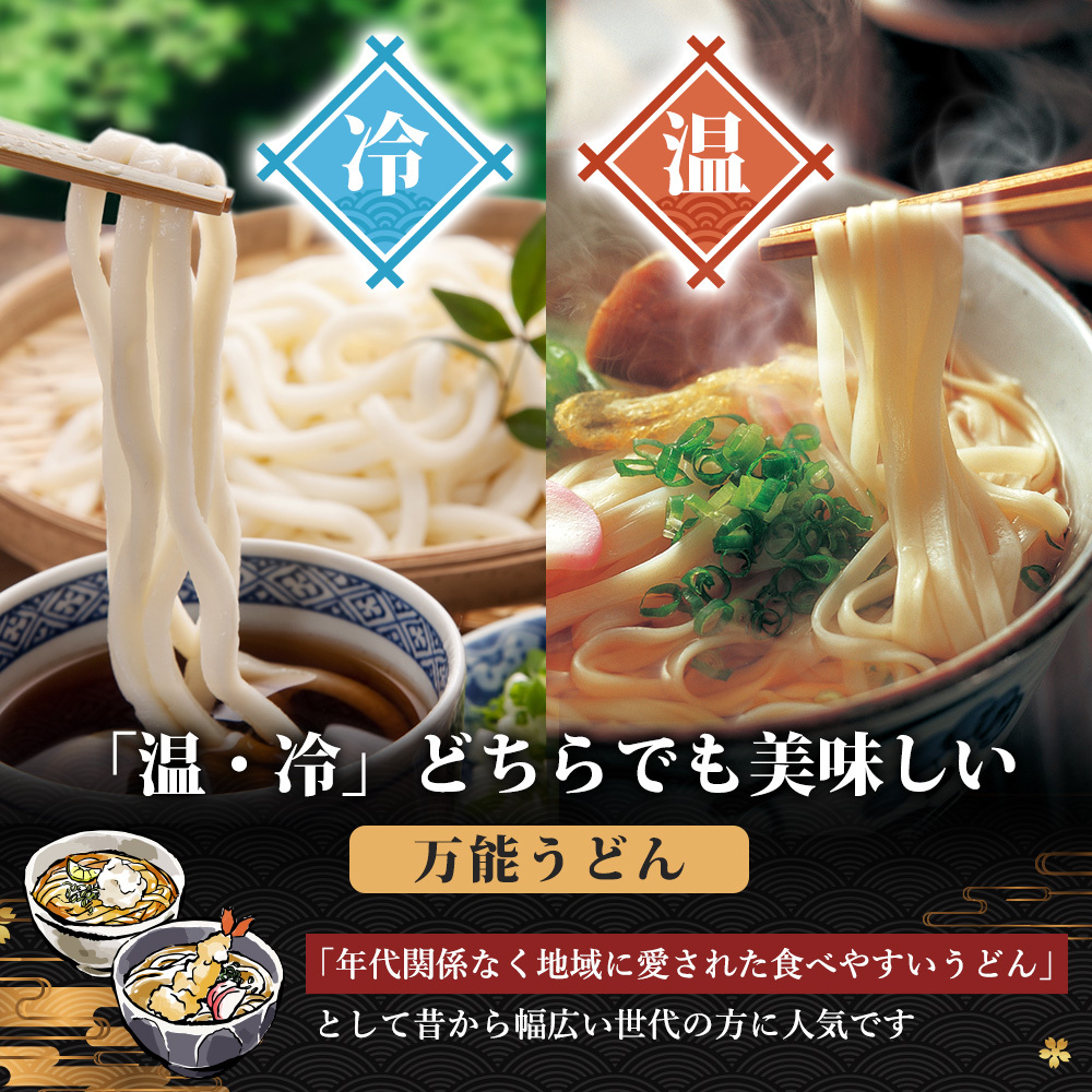 のど越しの良い象潟うどん定期便（5束×12ヵ月） 36000円 乾麺 麺類 12ヶ月 12回