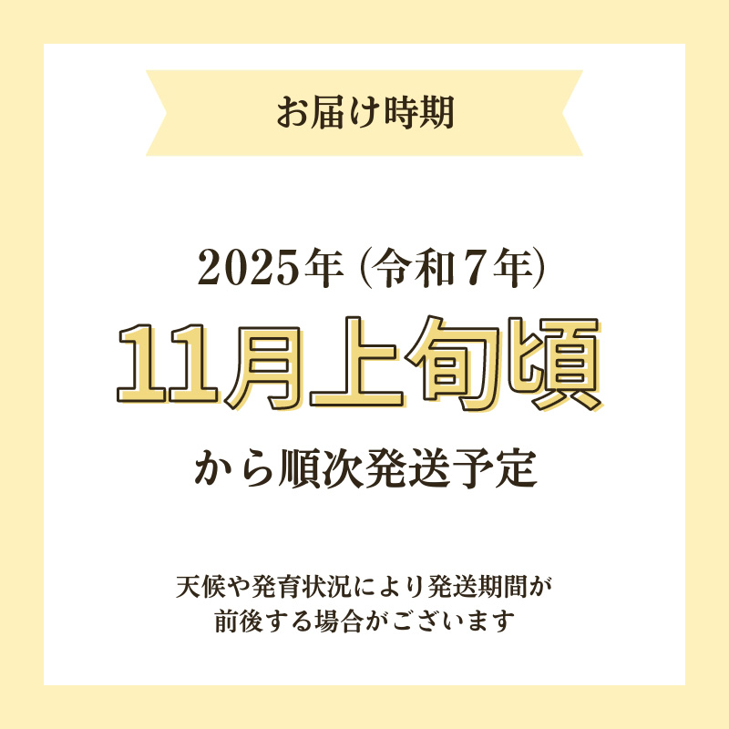 新米予約 栽培期間中 農薬・化学肥料不使用【玄米】特別栽培米サキホコレ5kg×1 令和7年産 秋田県 にかほ市 お米 米 こめ