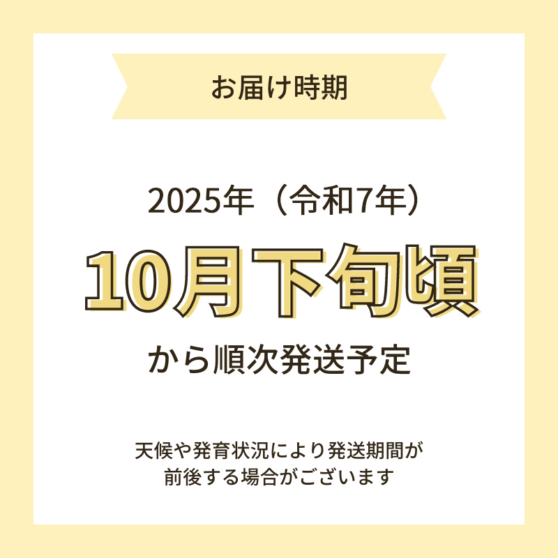 【新米予約】【無洗米】特別栽培米サキホコレ4kg(2kg×2）と無添加サキホコレみそ500gセット 令和7年産 秋田県 にかほ市 お米 米 こめ 新米 無洗米 みそ