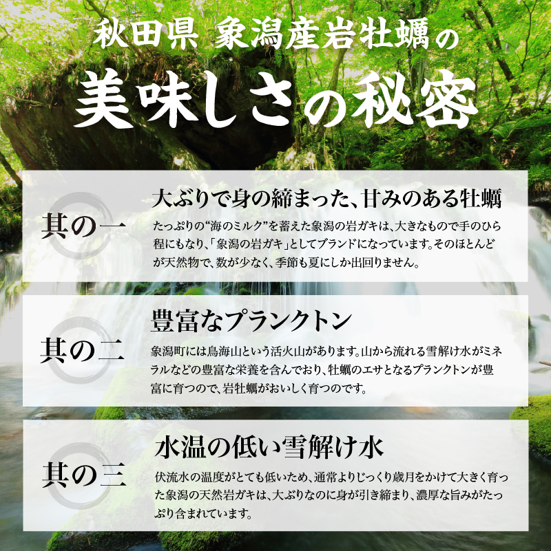 先行予約 秋田の肉厚な天然岩牡蠣（岩ガキ 8個以上）ナイフ無し かき カキ 秋田県 にかほ市産 天然 岩牡蠣  殻付 牡蠣 海産物 魚介類 海鮮
