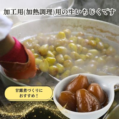 期間限定 加工用生いちじく 2kg 秋田県にかほ市産 北限のいちじく ホワイトゼノア