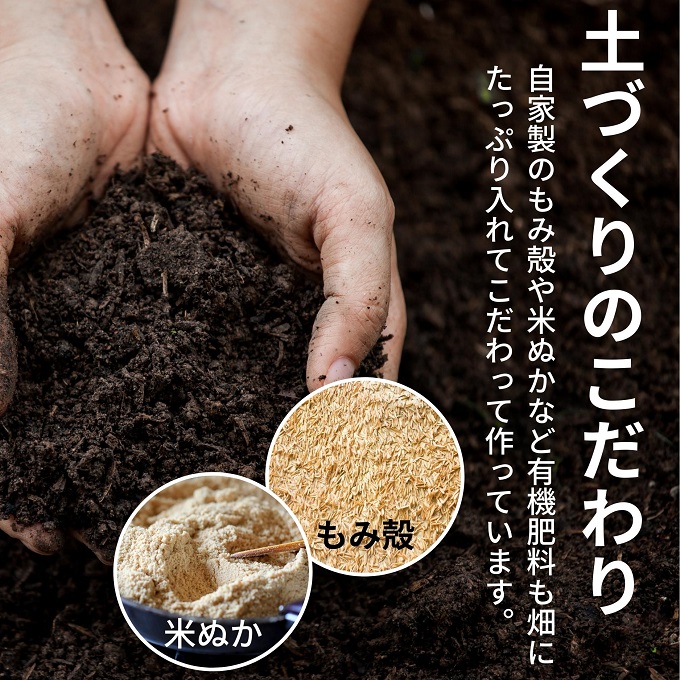 にかほ市産 白ネギ 約5kg（35～45本）