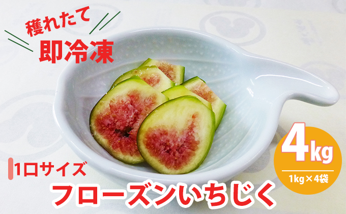 フローズン いちじく4kg（1kg×4袋） 果物詰合せ フルーツ 冷凍 無花果