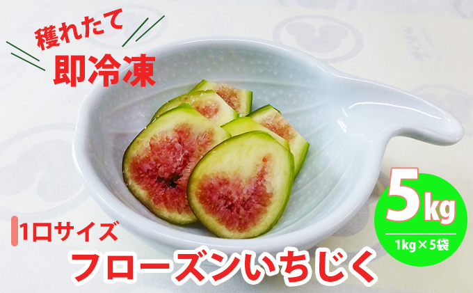 フローズン いちじく5kg（1kg×5袋） 果物詰合せ フルーツ 冷凍 無花果