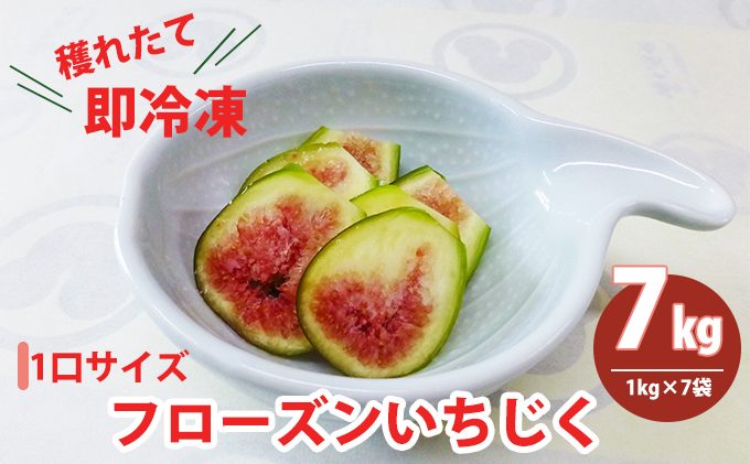 フローズン いちじく7kg（1kg×7袋） 果物詰合せ フルーツ 冷凍 無花果