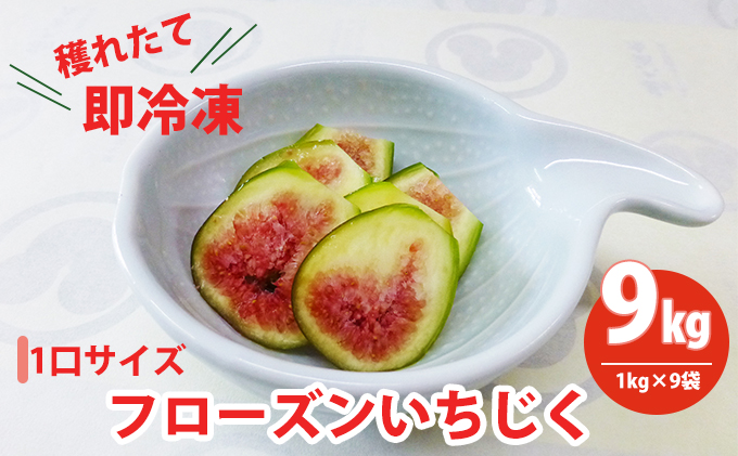 フローズン いちじく9kg（1kg×9袋） 果物詰合せ フルーツ 冷凍 無花果