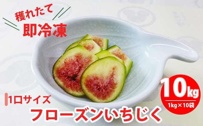 フローズン いちじく10kg（1kg×10袋） 果物詰合せ フルーツ 冷凍 無花果
