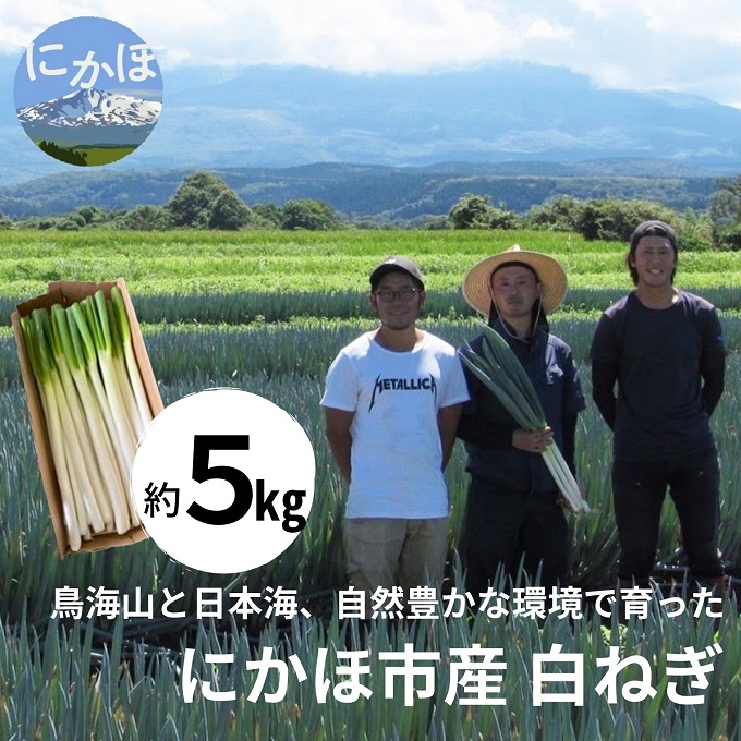 にかほ市産 白ネギ 約5kg（35～45本）