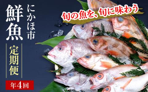 開けたらすぐ食べられる日本海の鮮魚定期便(2〜3人前・年4回)(魚介 下処理済み 詰合せ 詰め合わせ セット)