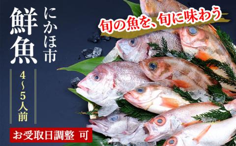 開けたらすぐ食べられる日本海の鮮魚詰合せ（４～５人前）(魚介 下処理済み 詰め合わせ セット) 	