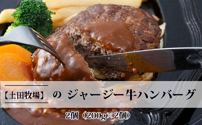 ジャージー牛使用! ハンバーグ 2個(200g×2個 5000円)