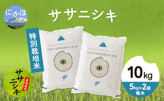 令和4年産 秋田県産 特別栽培米 ササニシキ10kg(5kg×2袋 精米)