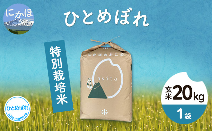 令和4年産 秋田県産 特別栽培米 ひとめぼれ20kg(20kg 1袋 玄米)