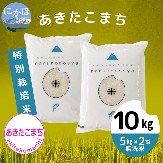 令和4年産 特別栽培米[無洗米]あきたこまち 10kg(5kg×2袋)