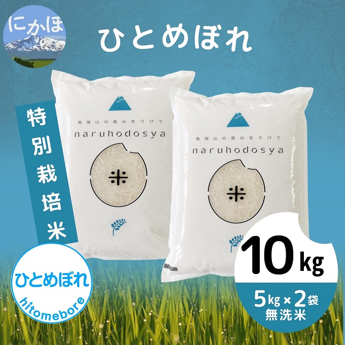 令和4年産 特別栽培米[無洗米]ひとめぼれ 10kg(5kg×2袋)