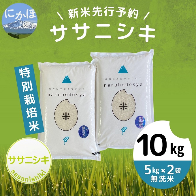 [令和5年産新米予約][無洗米]特別栽培米ササニシキ10kg(5kg×2)