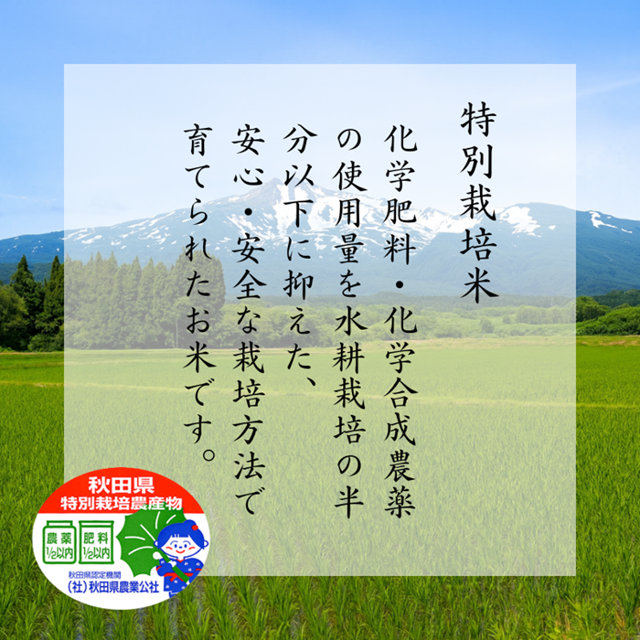 特別栽培米 鰰米 コシヒカリ にかほ 玄米 30kg