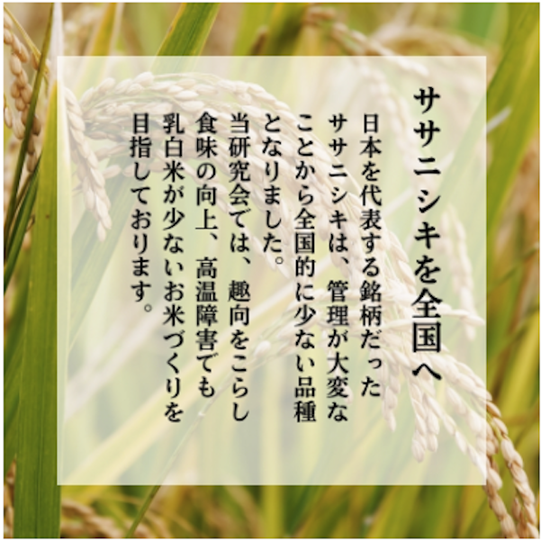 特別栽培米 鰰米 コシヒカリ にかほ 精米 30kg