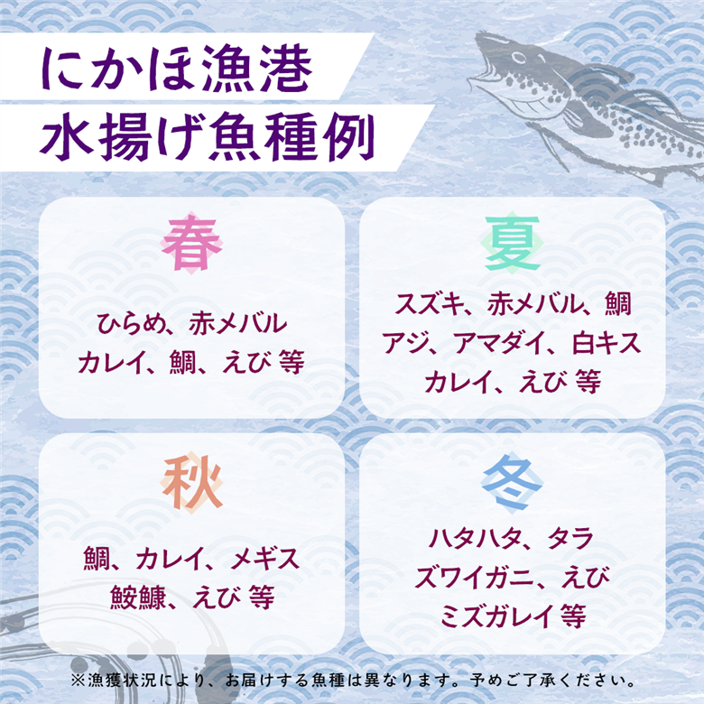 鮮魚 冷蔵 クール便「 開けたらすぐ食べられる下処理済み 海産物 2～3人前 セット 」さとう鮮魚店【 パック 詰め合わせ 海鮮セット 鮮魚ボックス 海鮮 海の幸 魚介 魚介類 刺身 切り身  秋田県 にかほ 】