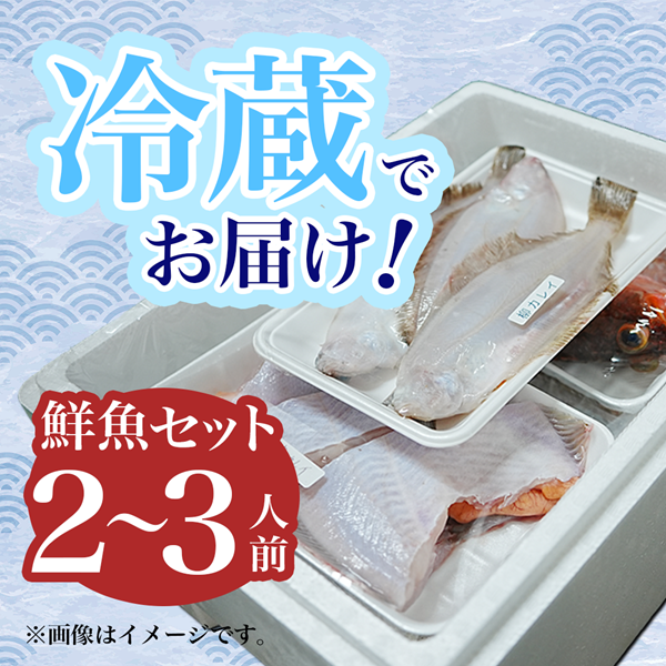 鮮魚 冷蔵 クール便「 開けたらすぐ食べられる下処理済み 海産物 2～3人前 セット 」さとう鮮魚店【 パック 詰め合わせ 海鮮セット 鮮魚ボックス 海鮮 海の幸 魚介 魚介類 刺身 切り身  秋田県 にかほ 】
