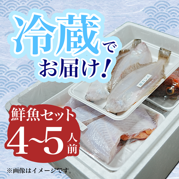 鮮魚 冷蔵 クール便「 開けたらすぐ食べられる下処理済み 海産物 4～5人前 セット 」さとう鮮魚店【 パック 詰め合わせ 海鮮セット 鮮魚ボックス 海鮮 海の幸 魚介 魚介類 刺身 切り身  秋田県 にかほ 】