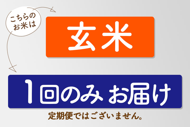 【玄米】＜令和7年産＞ 秋田県産 あきたこまち 匠 10kg (5kg×2袋) 10キロ お米
