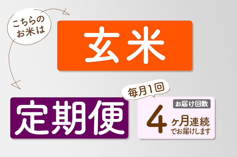【玄米】＜令和7年産＞ 《定期便4ヶ月》秋田県産 あきたこまち 匠 10kg (5kg×2袋)×4回 10キロ お米