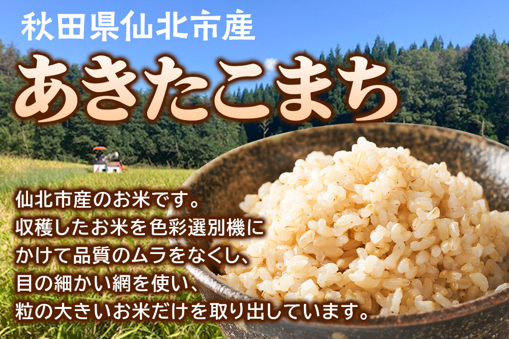 【玄米】令和7年産 あきたこまち 5kg 米 お米 こめ 秋田県 仙北市産