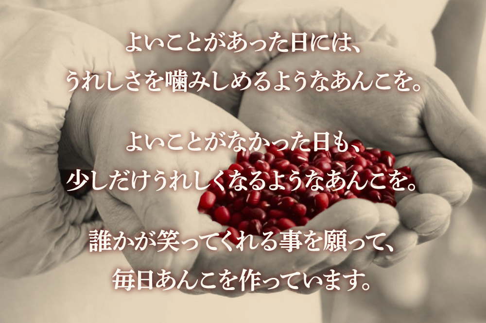煉りあん こしあん 340g×3袋 秋田県 仙北市 和菓子 製菓材料